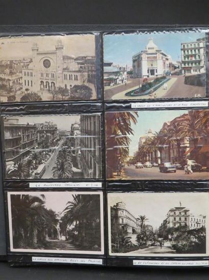 null ALGERIE - Classeur comprenant environ 360 cartes postales (vers 1950-60) dont...