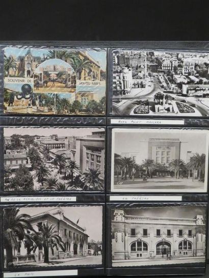 null ALGERIE - Classeur comprenant environ 360 cartes postales (vers 1950-60) dont...