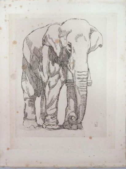null PAUL JOUVE (d'après)
Eléphant
Eau-forte (tirée d'une revue)
29 x 23 cm
(rousseurs)...