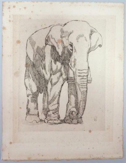 null PAUL JOUVE (d'après)
Eléphant
Eau-forte (tirée d'une revue)
29 x 23 cm
(rousseurs)...