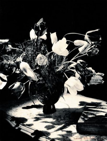 LAURE ALBIN GUILLOT (1892-1962) Etude de fleurs, 1930. Tirage d'époque sur papier...