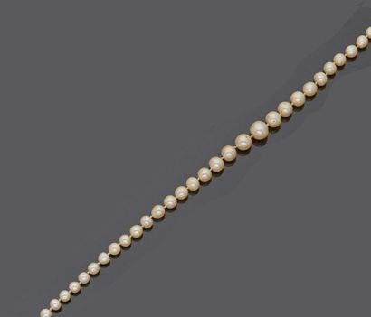 null Necklace of falling cultured pearls, 18 k (750 thousandths) yellow gold clasp.

Brutto...