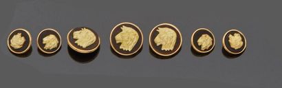 null Série de 7 boutons "tête de lion" en or jaune 18 k (750 millièmes) et bois dont...