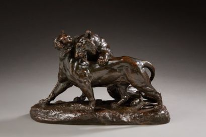 null Charles VALTON (1851 - 1918)

Les deux tigres

Bronze à patine brune signé sur...