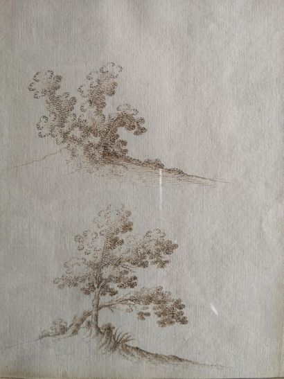 null Two pencil drawings on paper representing trees 
23.5 x 18 cm
12 x 25.5 cm