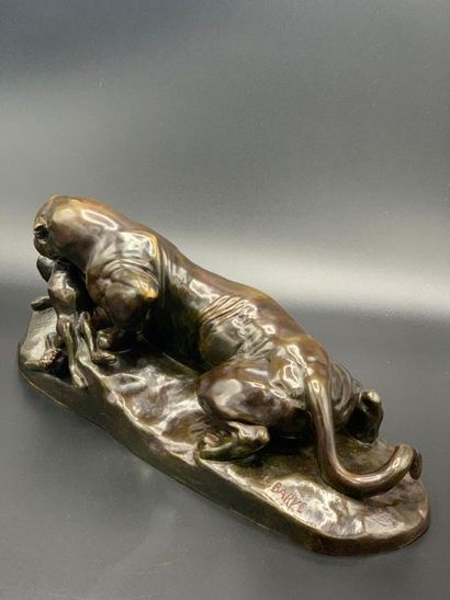null D'après Antoine Louis BARYE

Panthère dévorant un lièvre

Bronze à patine brune...