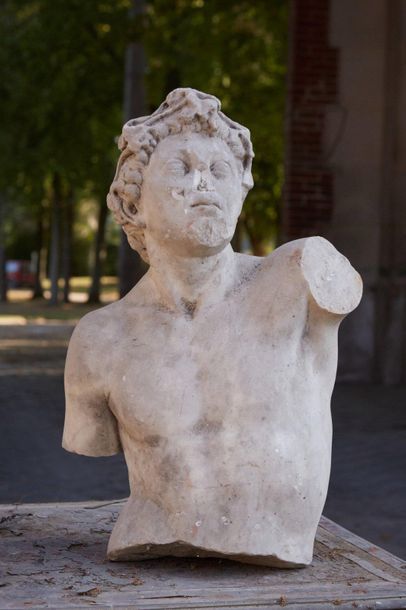 null Sculpture en marbre blanc représentant Bacchus en buste (accidents et manques).

XIXe...