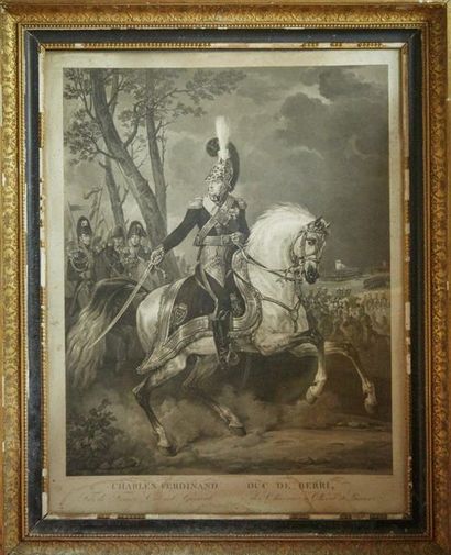 null Portrait de Charles-Ferdinand d'Artois, duc de Berry (1778-1820), en tenue de...