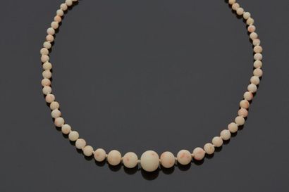 null Un collier de perles de corail blanc en chute, fermoir en métal argenté.

Longueur...