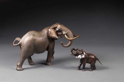 null African elephant in bronze with brown patina. A second smaller elephant is attached.

Length:...