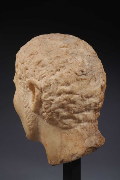 null 
Head representing the portrait of a man wearing a hair composed of short curly...