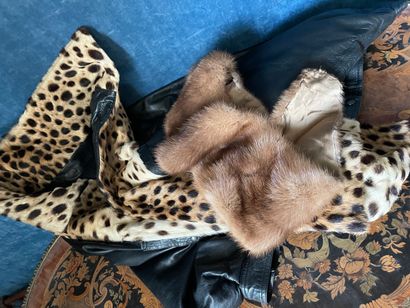 Lot of furs and various skins