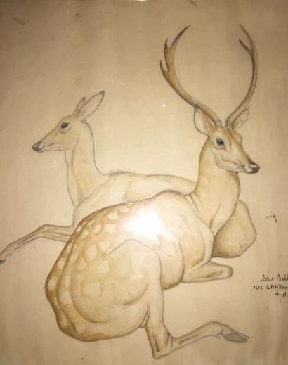null MODERN school of the 20th century

Deer and doe

Black stone, watercolour, autographed,...