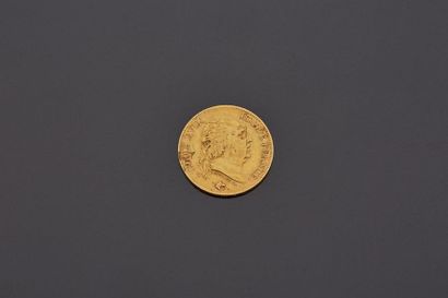 null LOUIS XVIII (1815-1824)
40 francs or. 1818. Lille.
G. 1092.
TTB.