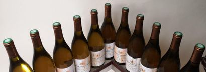 null 11 bouteilles CORTON CHARLEMAGNE Grand cru - P. Laforest 2009 Etiquettes tachées...