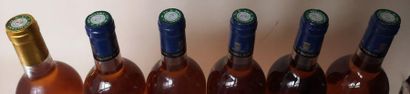 null 6 bouteilles LOUPIAC "Cru Champon" - Yvan Réglat 5 de 1995 et 1 de 1991 1995...