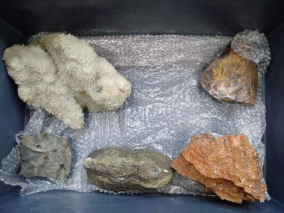 null 
Lot of mineralogy: crystals, lava, fossilized wood, etc.
