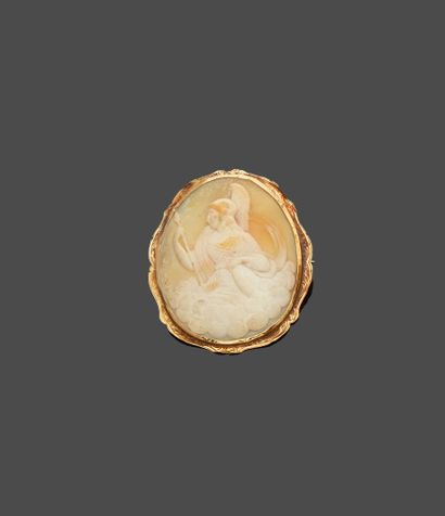 null Brooch cameo shell in yellow gold 18 k (750 thousandths) representing Athena...