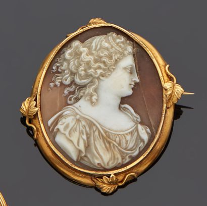 Brooch cameo shell in yellow gold 18 k (750...