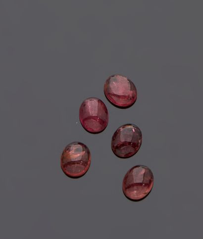 null Five cabochon pink tourmalines

Weight: 15.8 carats
