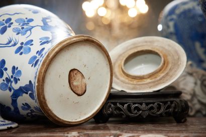 null 
CHINE - XVIIIe siècle




Paire de potiches en porcelaine décorée en bleu sous...