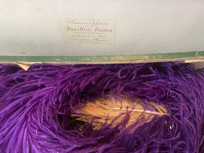 Lot of various feathers in a box Revillon...