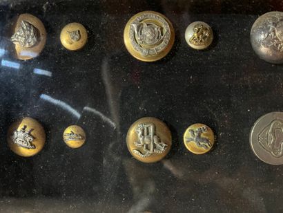 null Cadre contenant des boutons de livrée et d'équipage de chasse.


35 x 45.5 cm





Provenance...