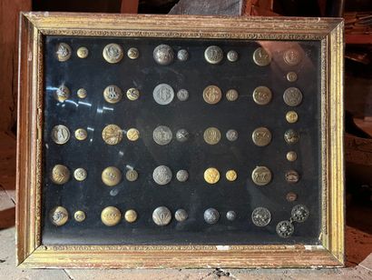 Frame containing buttons of livery and hunting...