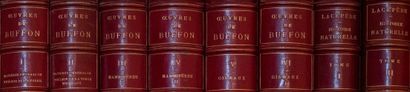 null 
BUFFON, complete works, 6 volumes. 




2 volumes of Lacépede and miscellaneous...