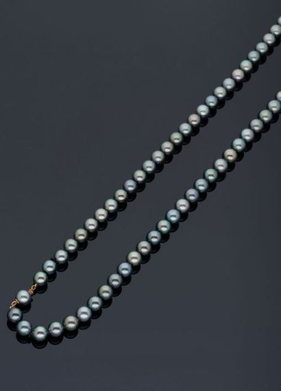 null Deux colliers pouvant former sautoir, de 49 et 51 (100) perles de Tahiti Grade...