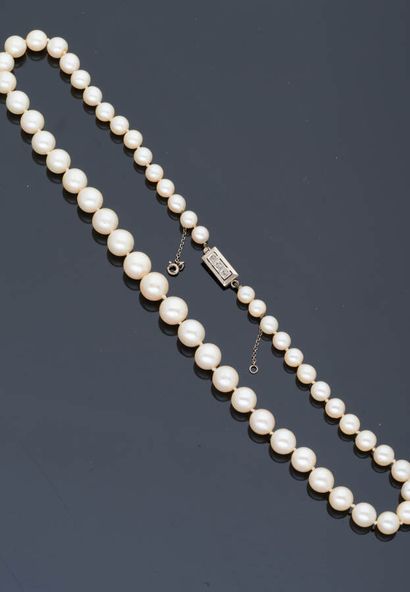  Collier de perles de culture en chute fermoir en or gris 18 k (750 millièmes) serti...