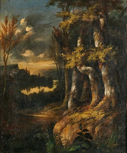 null Ecole FRANCAISE du XIXe siècle

Paysage au crépuscule romantique

Huile sur...