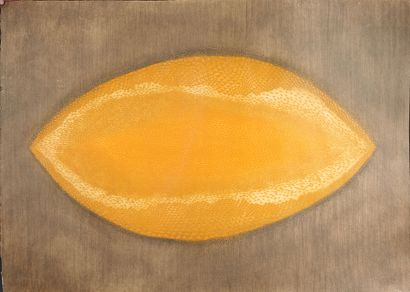null Arthur Luiz PIZA (1928-2017)

Forme abstraite

Gravure

105 x 75 cm