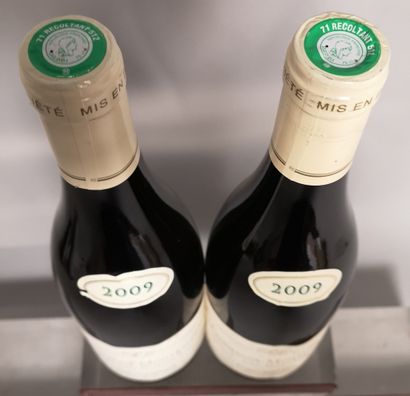 null 2 bouteilles CHASSAGNE MONTRACHET 1er cru "Morgeot" - Domaine BORGEOT 2009


Étiquettes...