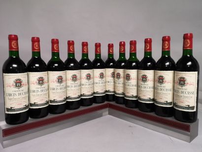 12 bottles Château LARCIS DUCASSE - Saint...