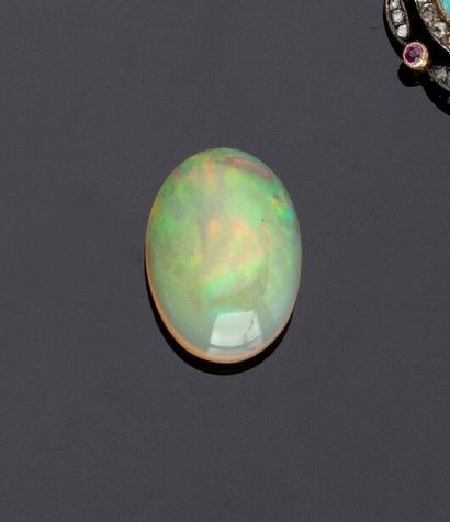 Opale ovale.

Poids 11.5 carats - Longueur...