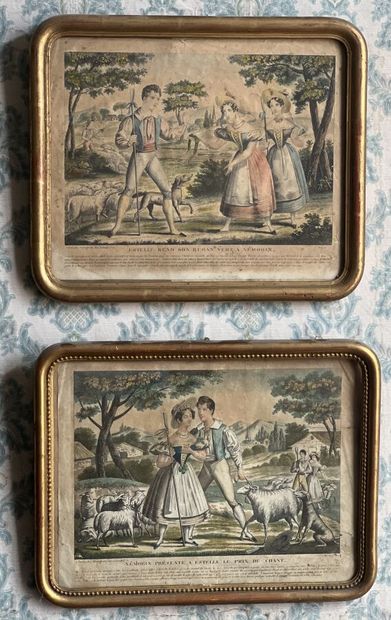 Deux gravures en couleur du XIXe siècle (Piqûres,...
