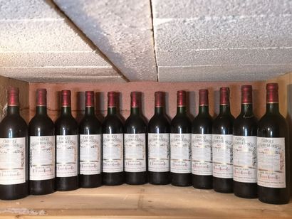 12 bouteilles Château BALESTARD LA TONNELLE...