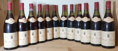 12 bouteilles Côtes de BROUILLY - Pierre...