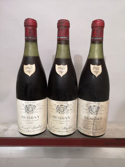 3 bottles MUSIGNY Grand Cru - Louis JADOT...