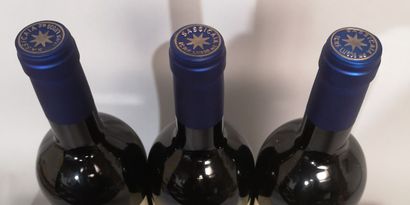 null 3 bouteilles ITALIE - SASSICAIA - Tenuta SAN GUIDO - BOLGHERI 2004