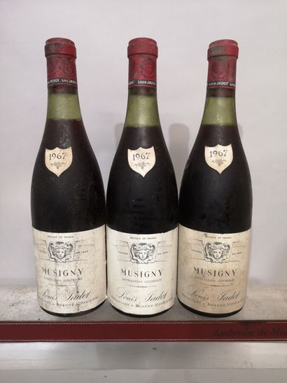 3 bouteilles MUSIGNY Grand Cru - Louis JADOT...