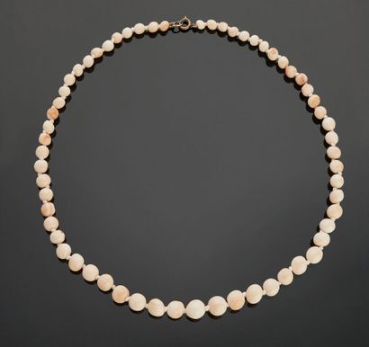 Necklace of cream coral beads in light fall,...
