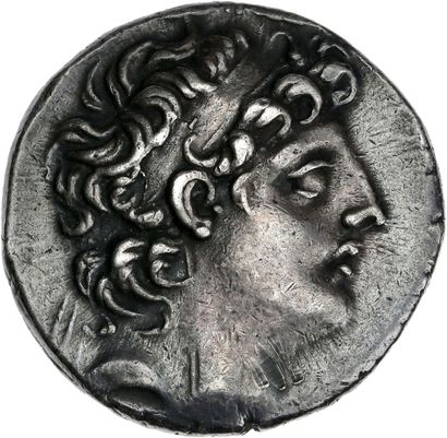 ROYAUME SÉLEUCIDE : Antiochus VIII Grypus...