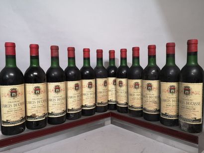 12 bottles Château LARCIS DUCASSE - 1er Gcc...