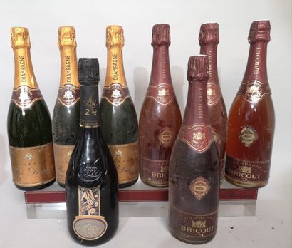 8 bottles CHAMPAGNE DIVERS 
1 Alain VESSELLE...