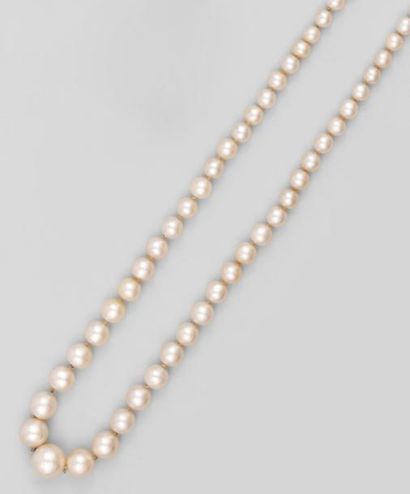 null Important collier de 97 perles fines en chute, le fermoir en platine et or gris...