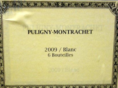 null 6 Bouteilles PULIGNY MONTRACHET 2009 - L. JADOT