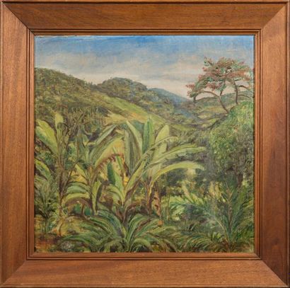Rodolfo AMOEDO (1857-1941) Flamboyant, forêt d'Ubatuba Huile sur toile signée en...
