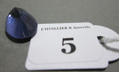null TANZANITE ovale facettée sur papier pesant 5,57 carats